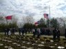 01-17-09 108.jpg - 